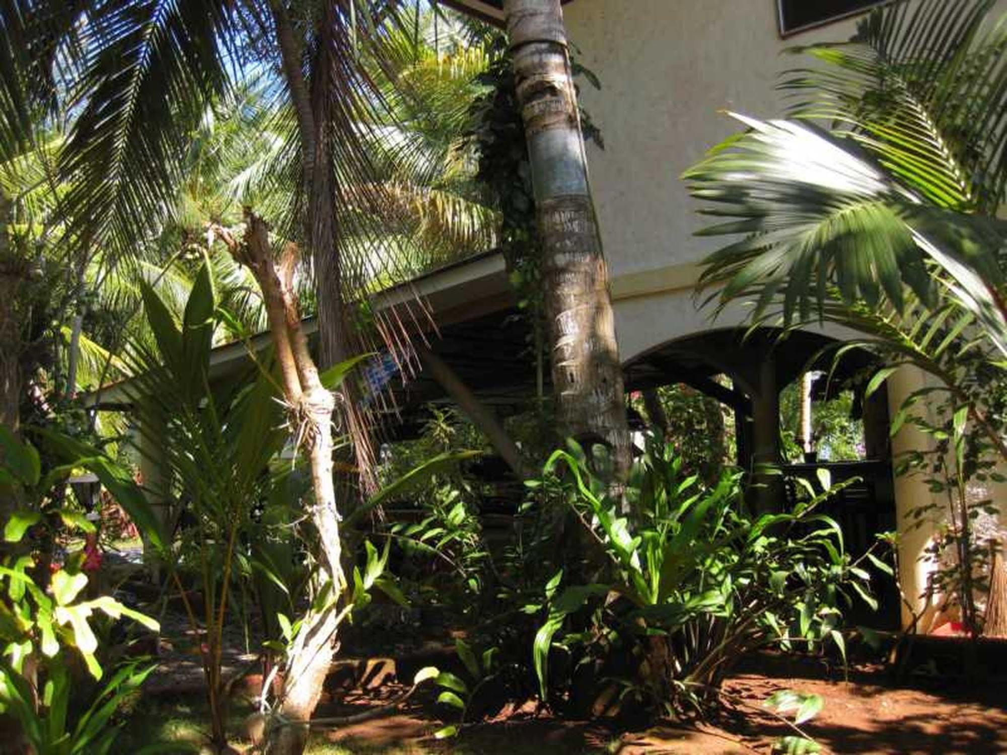 Calypso Resort Panglao Kültér fotó