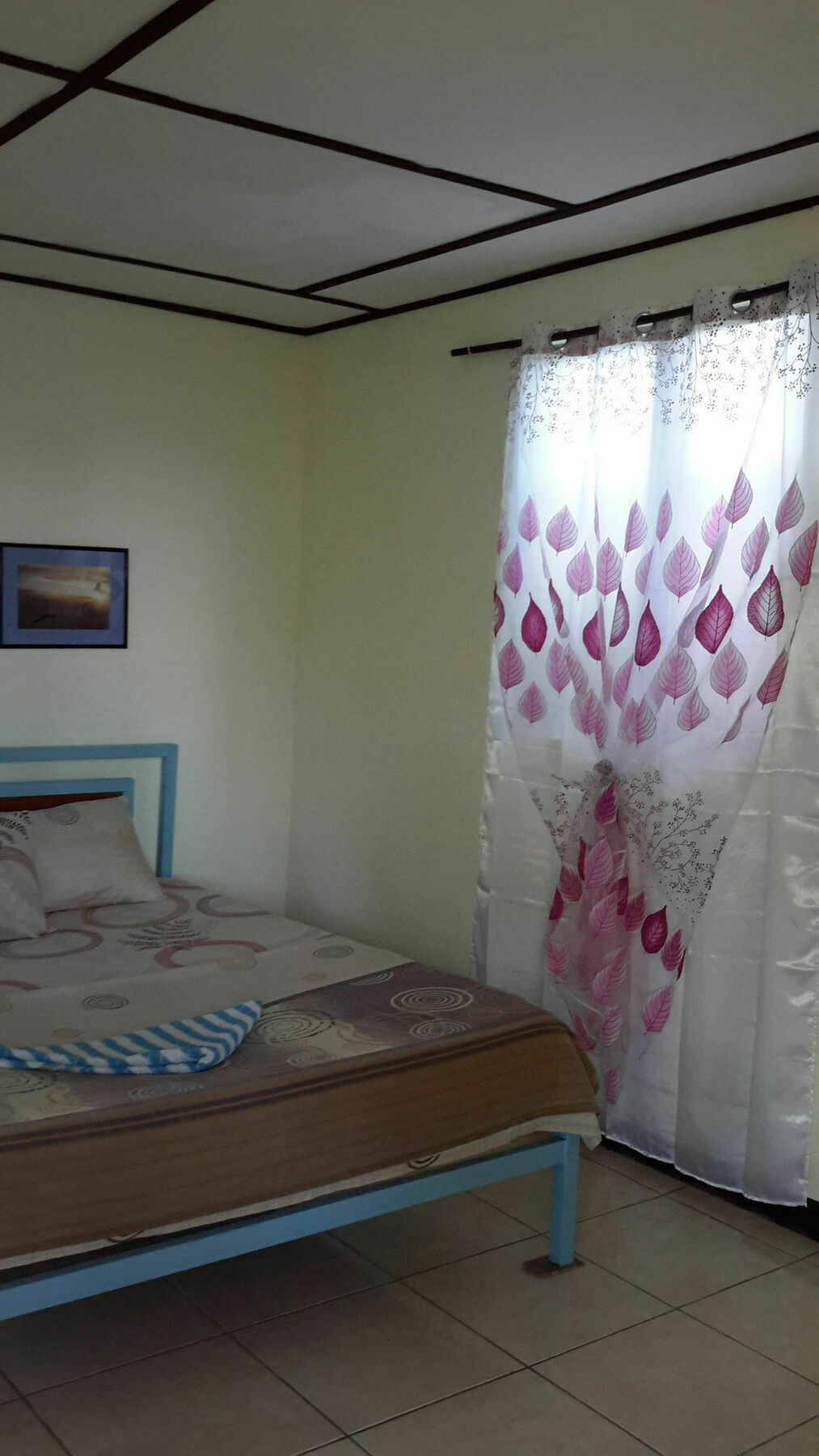 Calypso Resort Panglao Kültér fotó