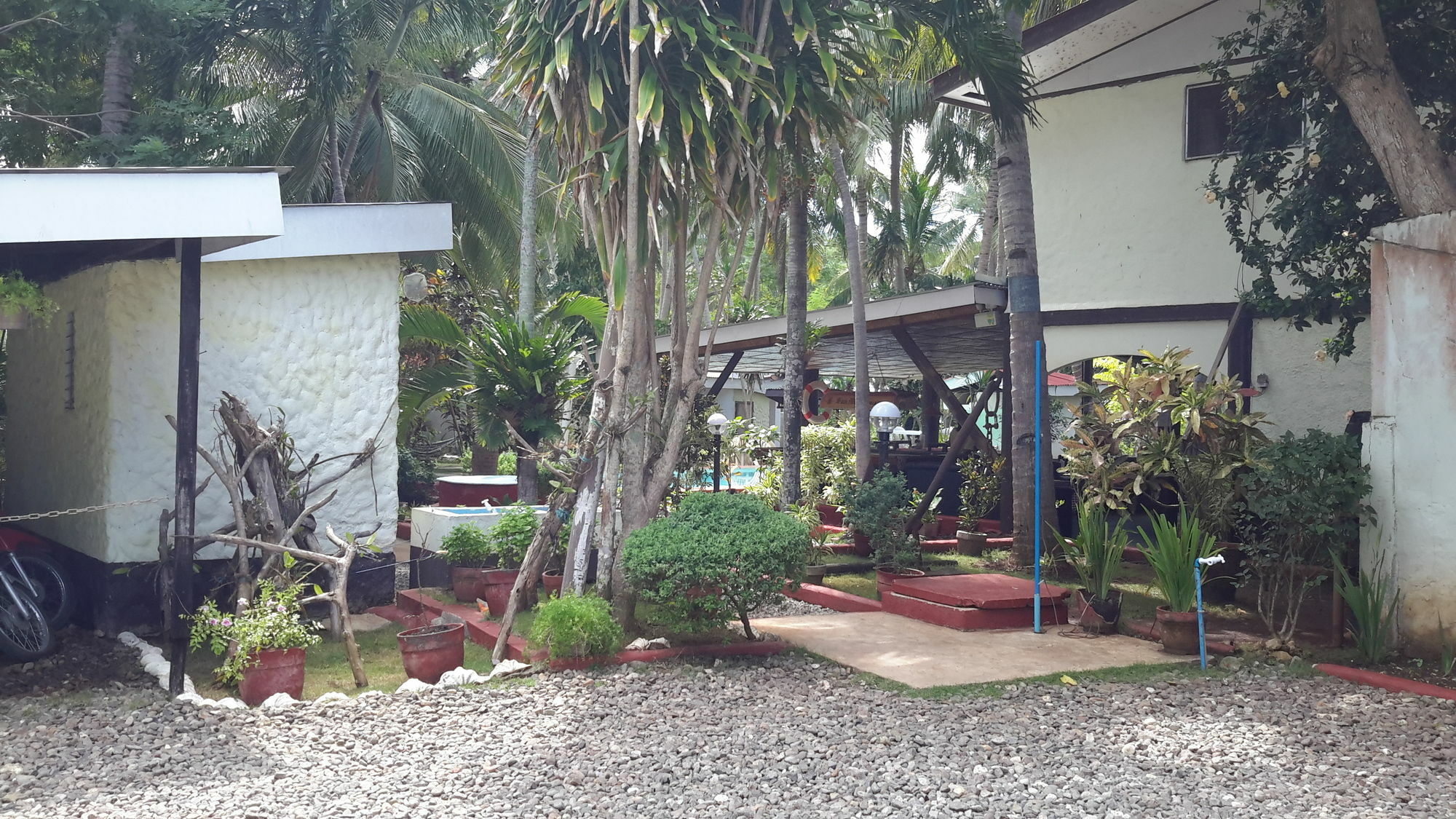 Calypso Resort Panglao Kültér fotó